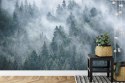 Fototapeta Mglisty Las W Górach Vinyl Gładki 152.5x104 FT-4049-VGL