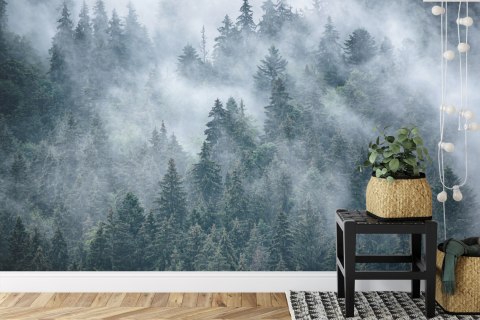 Fototapeta Mglisty Las W Górach Vinyl Gładki 152.5x104 FT-4049-VGL