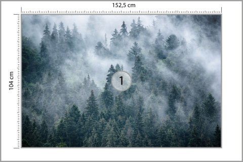 Fototapeta Mglisty Las W Górach Vinyl Gładki 152.5x104 FT-4049-VGL