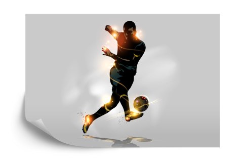 Fototapeta Piłkarz Strzelający Gola Flizelina 208x146 FT-3353-VEXL