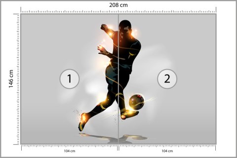 Fototapeta Piłkarz Strzelający Gola Flizelina 208x146 FT-3353-VEXL