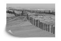 Fototapeta Plaża Morze Wydmy Flizelina 208x146 FT-376-VEXL