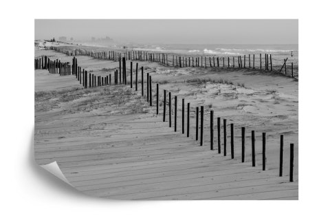 Fototapeta Plaża Morze Wydmy Flizelina 208x146 FT-376-VEXL