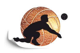 Fototapeta Siatkarz Na Tle Piłki Flizelina 208x146 FT-3169-VEXL