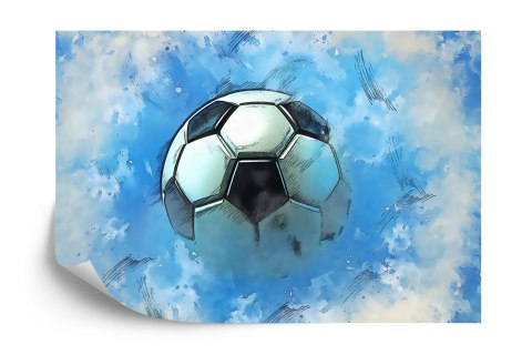 Fototapeta Sport, Piłka 3D Flizelina 208x146 FT-1935-VEXL