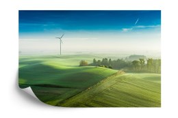 Fototapeta Widok Z Lotu Ptaka Na Zielone Pola 3D Flizelina 208x146 FT-4519-VEXL