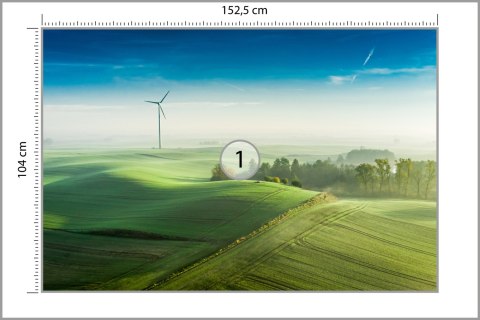 Fototapeta Widok Z Lotu Ptaka Na Zielone Pola 3D Vinyl Gładki 152.5x104 FT-4519-VGL