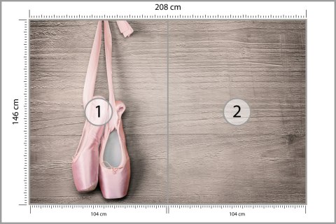 Fototapeta Buty Do Baletu Flizelina 208x146 FT-3817-VEXL