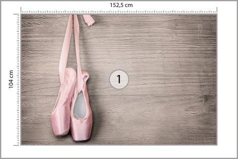 Fototapeta Buty Do Baletu Vinyl Gładki 152.5x104 FT-3817-VGL