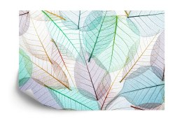 Fototapeta Kolorowe Prześwitujące Liście Vinyl Gładki 152.5x104 FT-3608-VGL