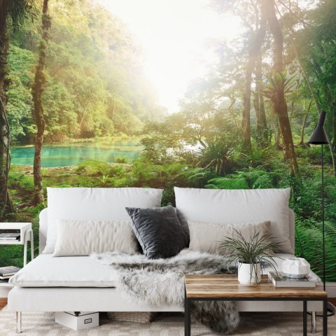 Fototapeta Las Drzewa Woda Flizelina 208x146 FT-285-VEXL