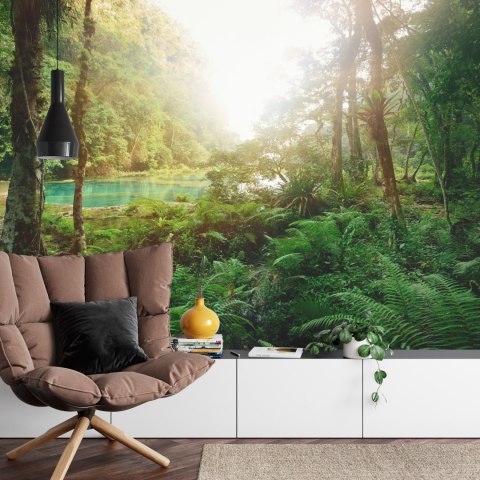 Fototapeta Las Drzewa Woda Flizelina 208x146 FT-285-VEXL