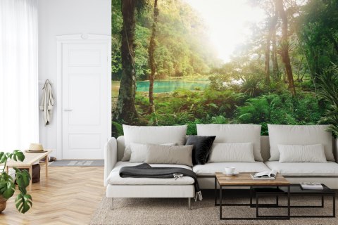 Fototapeta Las Drzewa Woda Flizelina 208x146 FT-285-VEXL