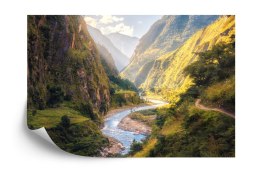 Fototapeta Las Góry Vinyl Gładki 152.5x104 FT-281-VGL