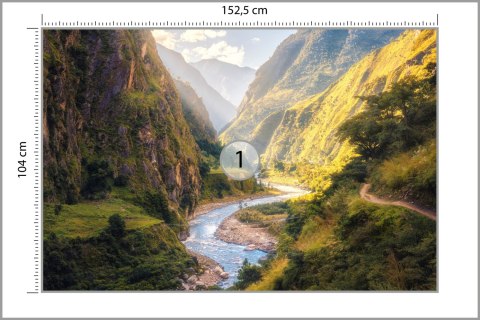 Fototapeta Las Góry Vinyl Gładki 152.5x104 FT-281-VGL