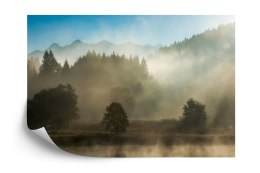 Fototapeta Las We Mgle Flizelina 208x146 FT-26-VEXL