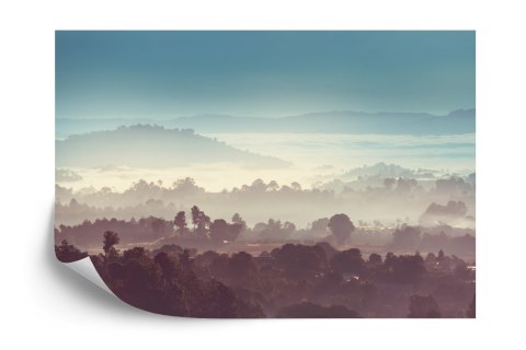 Fototapeta Las We Mgle Flizelina 208x146 FT-470-VEXL