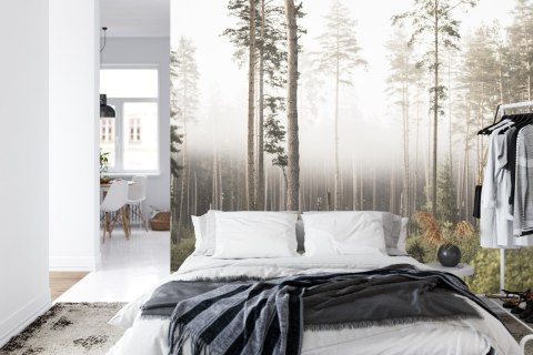 Fototapeta Las We Mgle Flizelina 208x146 FT-492-VEXL