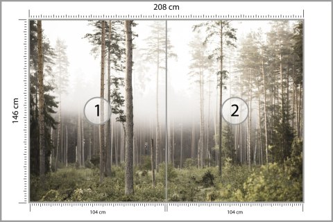 Fototapeta Las We Mgle Flizelina 208x146 FT-492-VEXL