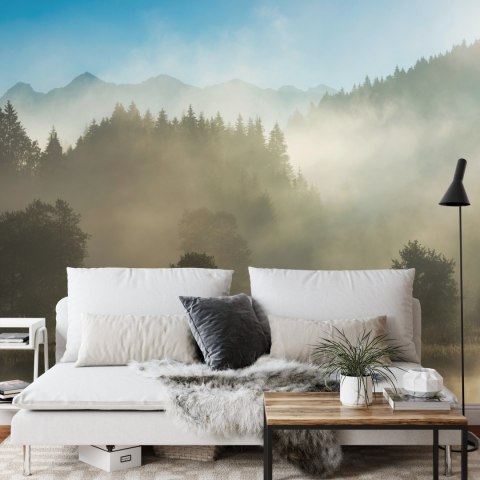 Fototapeta Las We Mgle Vinyl Gładki 152.5x104 FT-26-VGL