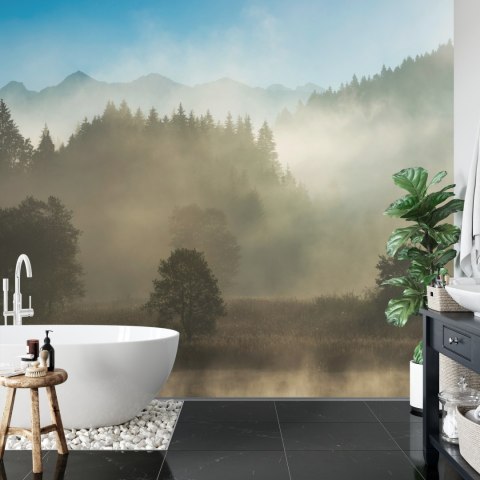 Fototapeta Las We Mgle Vinyl Gładki 152.5x104 FT-26-VGL