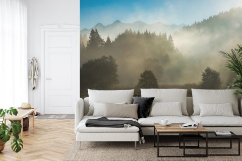 Fototapeta Las We Mgle Vinyl Gładki 152.5x104 FT-26-VGL