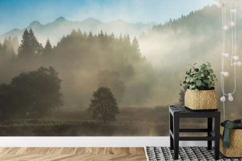 Fototapeta Las We Mgle Vinyl Gładki 152.5x104 FT-26-VGL