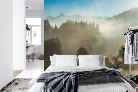 Fototapeta Las We Mgle Vinyl Gładki 152.5x104 FT-26-VGL