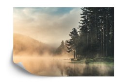 Fototapeta Las We Mgle Vinyl Gładki 152.5x104 FT-469-VGL