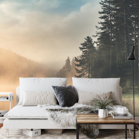 Fototapeta Las We Mgle Vinyl Gładki 152.5x104 FT-469-VGL