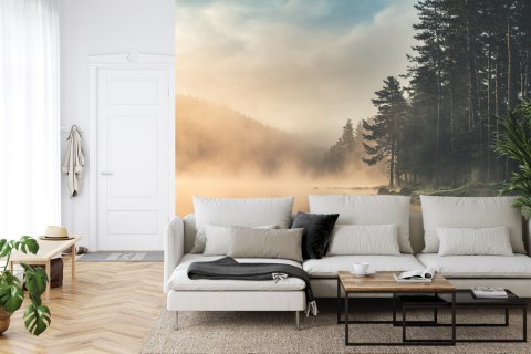 Fototapeta Las We Mgle Vinyl Gładki 152.5x104 FT-469-VGL