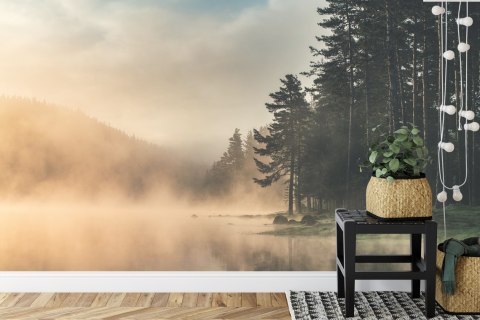 Fototapeta Las We Mgle Vinyl Gładki 152.5x104 FT-469-VGL