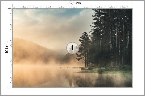 Fototapeta Las We Mgle Vinyl Gładki 152.5x104 FT-469-VGL