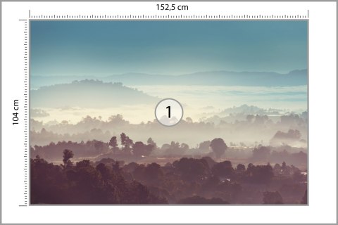 Fototapeta Las We Mgle Vinyl Gładki 152.5x104 FT-470-VGL