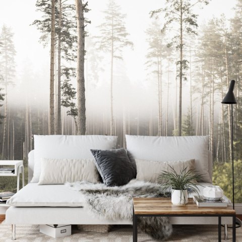 Fototapeta Las We Mgle Vinyl Gładki 152.5x104 FT-492-VGL