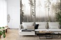 Fototapeta Las We Mgle Vinyl Gładki 152.5x104 FT-492-VGL