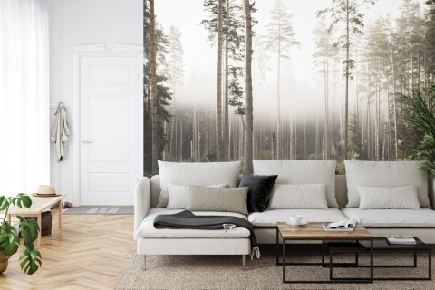 Fototapeta Las We Mgle Vinyl Gładki 152.5x104 FT-492-VGL