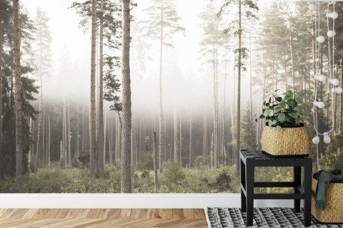 Fototapeta Las We Mgle Vinyl Gładki 152.5x104 FT-492-VGL