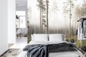 Fototapeta Las We Mgle Vinyl Gładki 152.5x104 FT-492-VGL