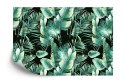 Fototapeta Liście Tropikalne Flizelina 208x146 FT-435-VEXL