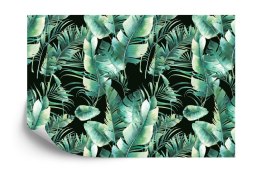 Fototapeta Liście Tropikalne Flizelina 208x146 FT-435-VEXL