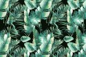 Fototapeta Liście Tropikalne Flizelina 208x146 FT-435-VEXL