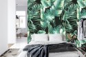 Fototapeta Liście Tropikalne Flizelina 208x146 FT-435-VEXL
