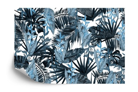 Fototapeta Liście Tropikalne Flizelina 208x146 FT-532-VEXL