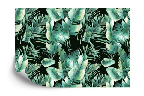 Fototapeta Liście Tropikalne Vinyl Gładki 152.5x104 FT-435-VGL