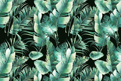 Fototapeta Liście Tropikalne Vinyl Gładki 152.5x104 FT-435-VGL