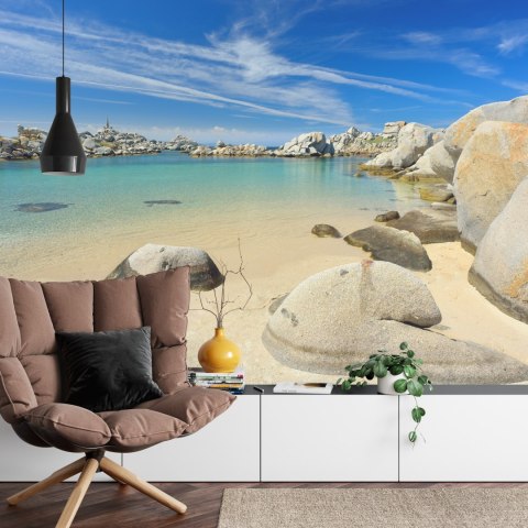 Fototapeta Plaża Morze Skały Flizelina 208x146 FT-381-VEXL