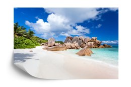 Fototapeta Plaża Ocean Skały Flizelina 208x146 FT-383-VEXL