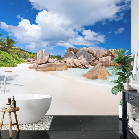 Fototapeta Plaża Ocean Skały Flizelina 208x146 FT-383-VEXL