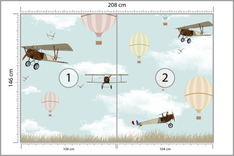 Fototapeta Samoloty I Balony Na Niebie Flizelina 208x146 FT-2343-VEXL